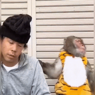 Acid GIFs, March 14 (25 gifs)