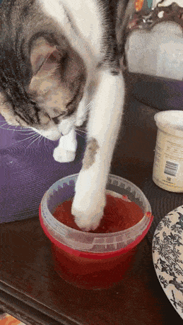 Acid GIFs, March 14 (25 gifs)