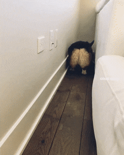Acid GIFs, March 14 (25 gifs)