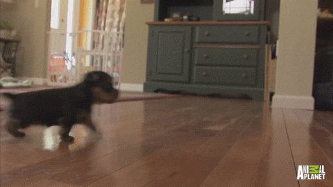 Acid GIFs, March 14 (25 gifs)