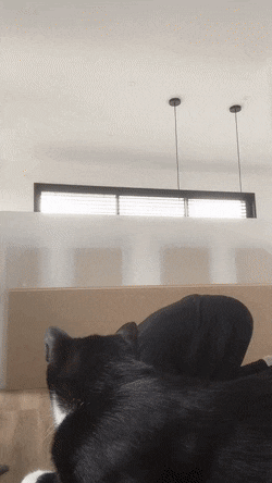 Acid GIFs, March 14 (25 gifs)