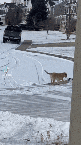 Acid GIFs, March 14 (25 gifs)