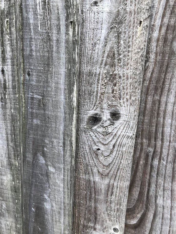 This Is Pareidolia (17 pics)