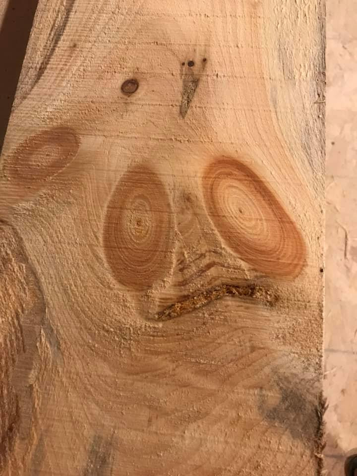This Is Pareidolia (17 pics)