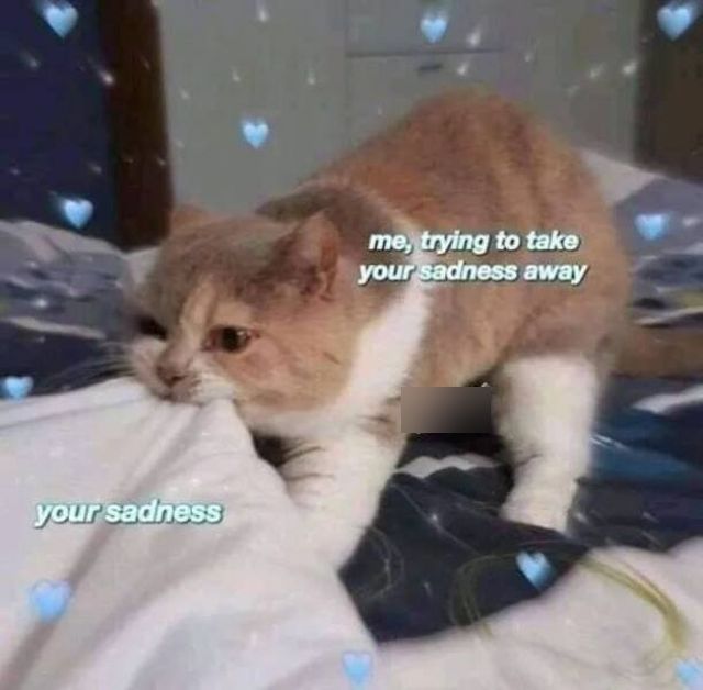 Positive Posts For A Good Mood (19 pics)