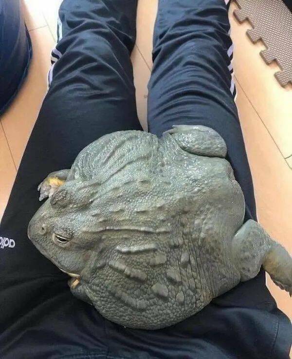 Daily Pictures. Part 1 (59 pics)