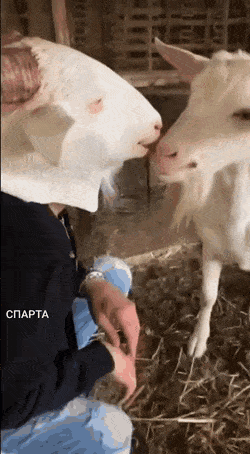 Acid GIFs, March 18 (25 gifs)