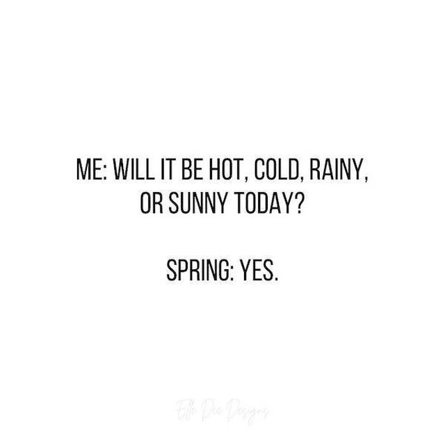 Spring Memes (25 pics)
