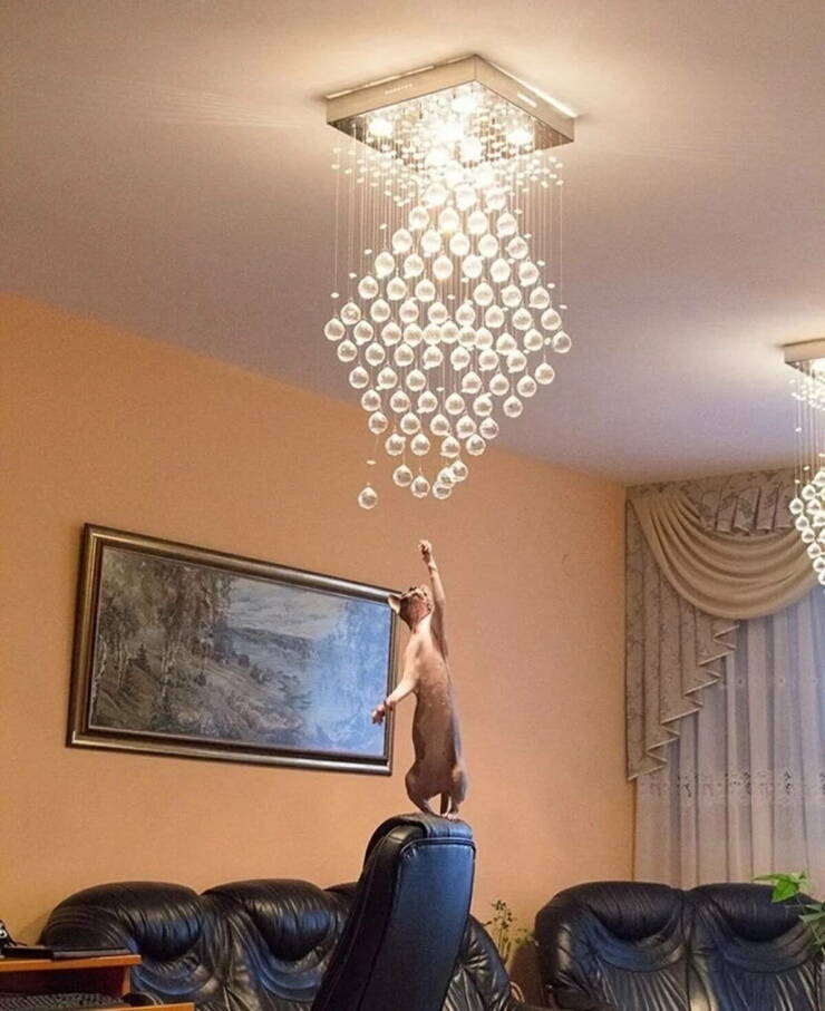 Daily Pictures. Part 2 (59 pics)