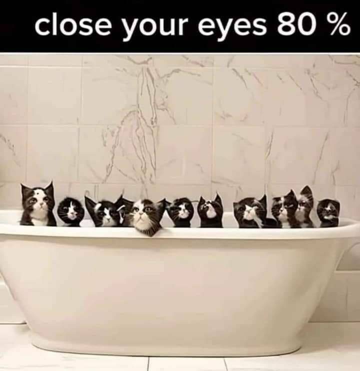 Daily Pictures. Part 2 (59 pics)