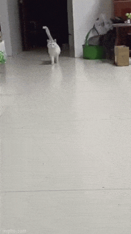 Acid GIFs, March 20 (25 gifs) Acid GIFs, March 20 (25 gifs)