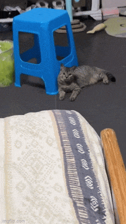 Acid GIFs, March 20 (25 gifs) Acid GIFs, March 20 (25 gifs)