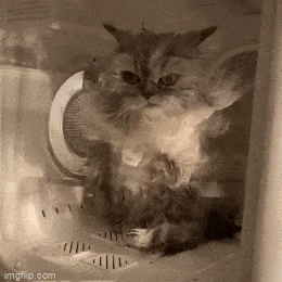 Acid GIFs, March 20 (25 gifs) Acid GIFs, March 20 (25 gifs)