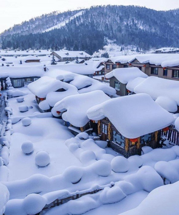 Photos For Perfectionists (19 pics)