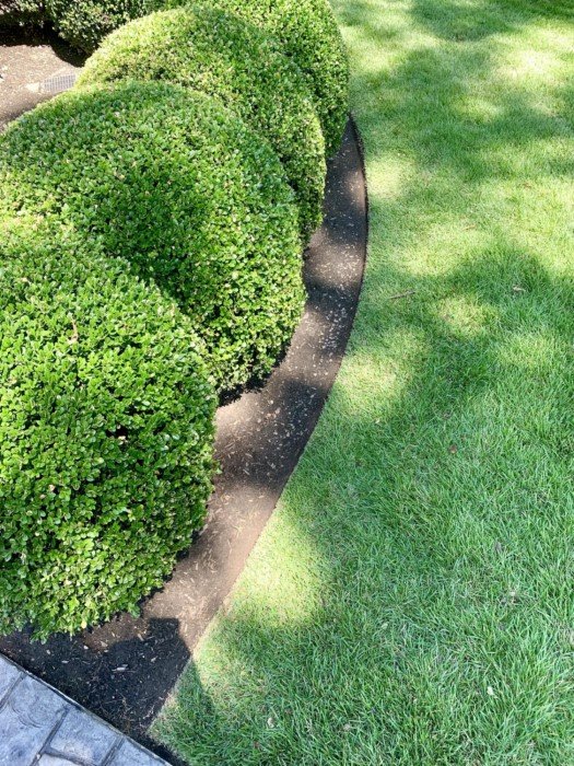 Photos For Perfectionists (19 pics)