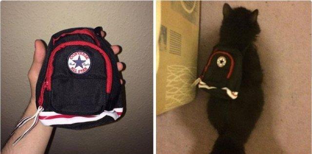Expectations Against Reality (19 pics)