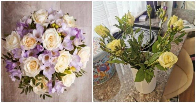 Expectations Against Reality (19 pics)