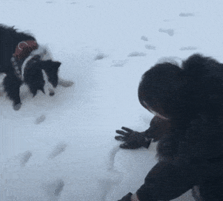Acid GIFs, March 21 (25 gifs) Acid GIFs, March 21 (25 gifs)