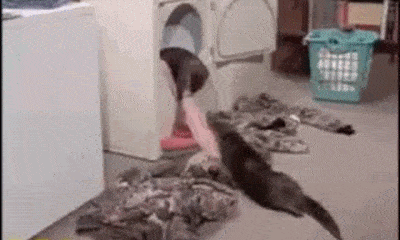 Acid GIFs, March 21 (25 gifs) Acid GIFs, March 21 (25 gifs)