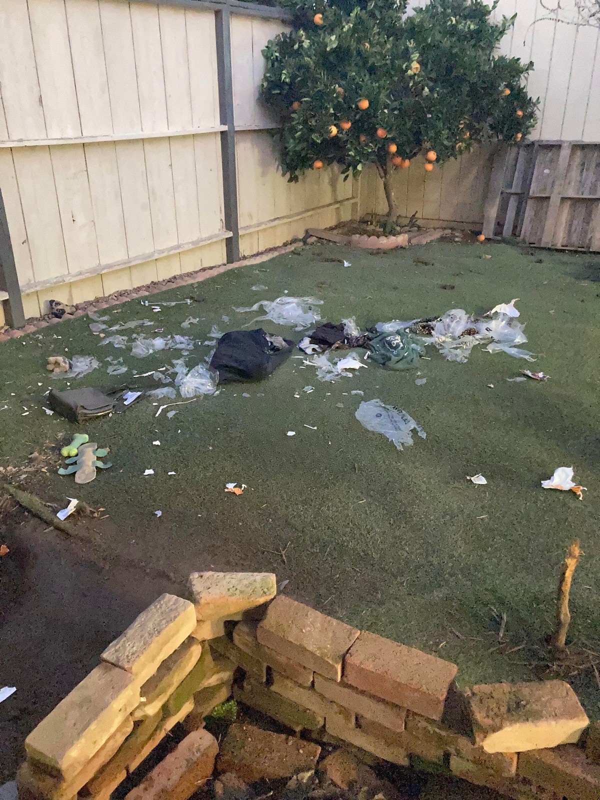 Bad Days Happen (24 pics)