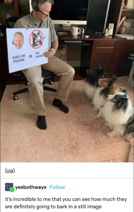 Daily Pictures. Part 2 (61 pics)