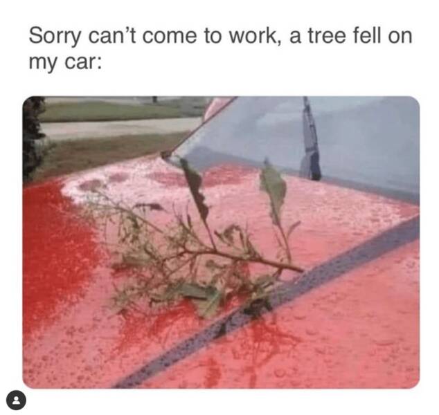 Daily Pictures. Part 2 (61 pics)
