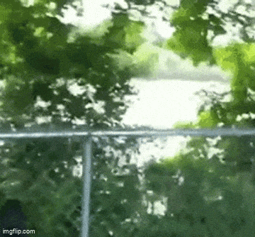 Acid GIFs, March 24 (25 gifs) Acid GIFs, March 24 (25 gifs)