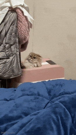 Acid GIFs, March 24 (25 gifs) Acid GIFs, March 24 (25 gifs)