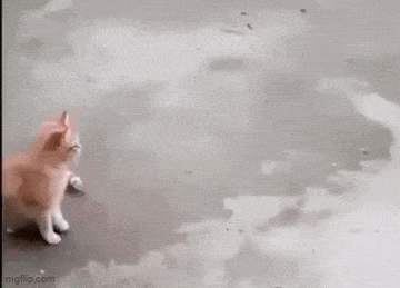Acid GIFs, March 24 (25 gifs) Acid GIFs, March 24 (25 gifs)