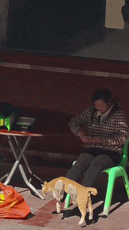Acid GIFs, March 24 (25 gifs) Acid GIFs, March 24 (25 gifs)