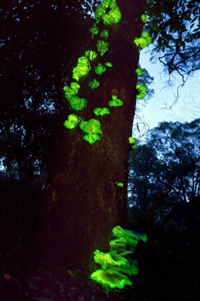 Weird Photos From Australia (19 pics)