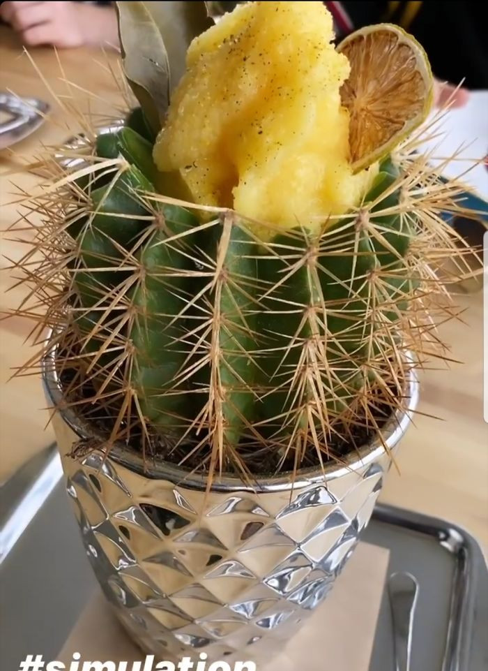 Crazy Food Serving (21 pics)