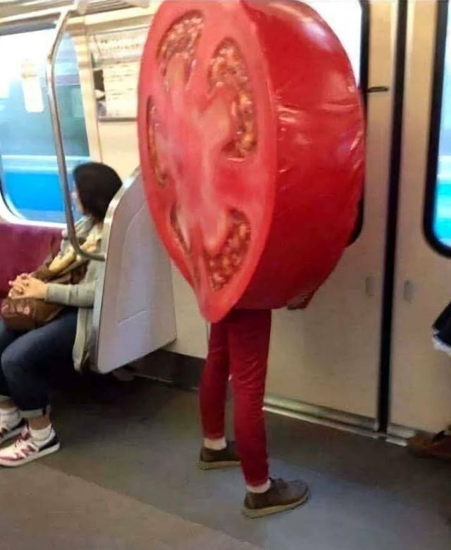 Daily Pictures. Part 2 (61 pics)