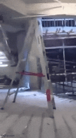 Acid GIFs, March 25 (25 gifs) Acid GIFs, March 25 (25 gifs)