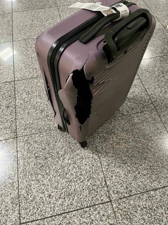 Fails With Luggage (29 pics)