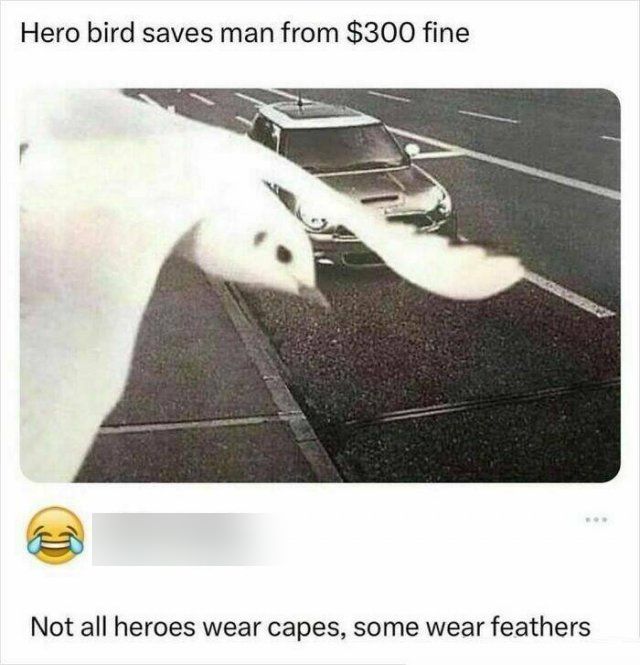 Kind Jokes (23 pics)