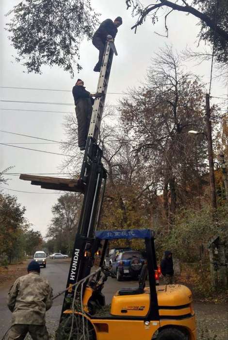 They Don't Care About Safety (16 pics)