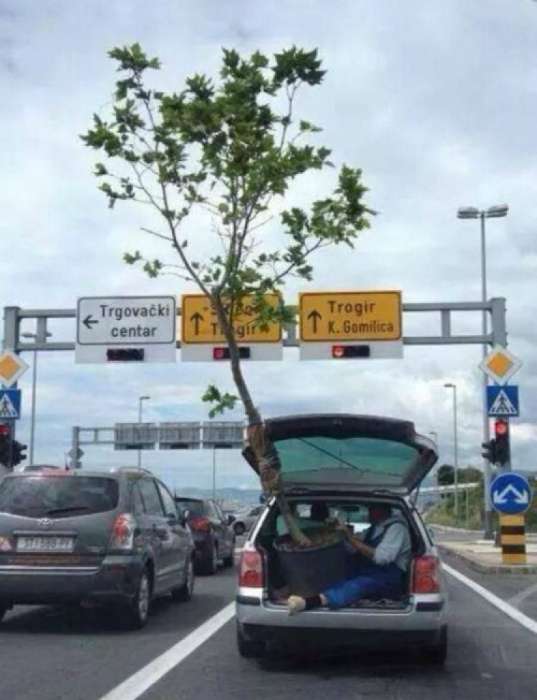 They Don't Care About Safety (16 pics)