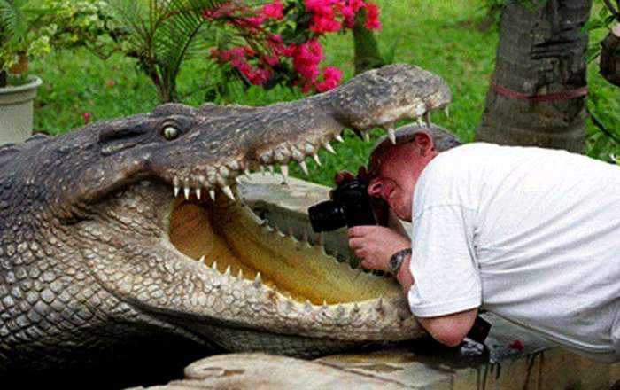 They Don't Care About Safety (16 pics)