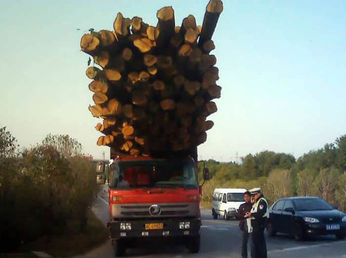 They Don't Care About Safety (16 pics)