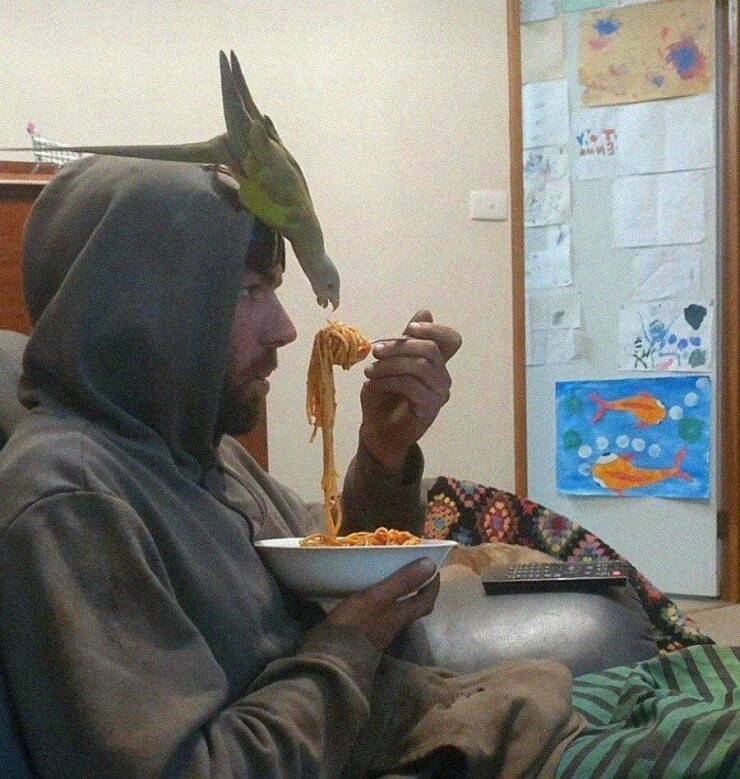 Daily Pictures. Part 2 (64 pics)