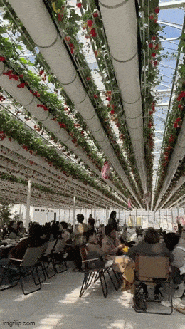 Acid GIFs, March 26 (25 gifs) Acid GIFs, March 26 (25 gifs)
