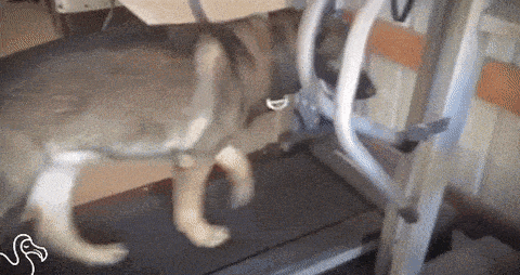 Acid GIFs, March 26 (25 gifs) Acid GIFs, March 26 (25 gifs)