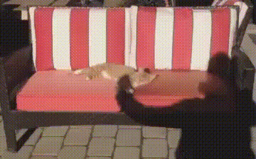Acid GIFs, March 26 (25 gifs) Acid GIFs, March 26 (25 gifs)