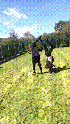 Acid GIFs, March 26 (25 gifs) Acid GIFs, March 26 (25 gifs)
