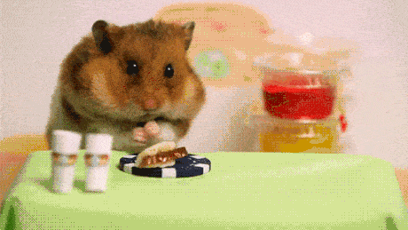 Acid GIFs, March 26 (25 gifs) Acid GIFs, March 26 (25 gifs)