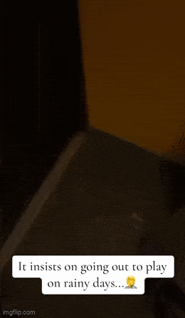 Acid GIFs, March 26 (25 gifs) Acid GIFs, March 26 (25 gifs)