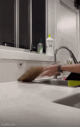 Acid GIFs, March 26 (25 gifs) Acid GIFs, March 26 (25 gifs)