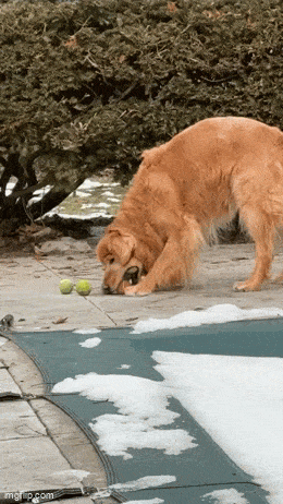Acid GIFs, March 26 (25 gifs) Acid GIFs, March 26 (25 gifs)