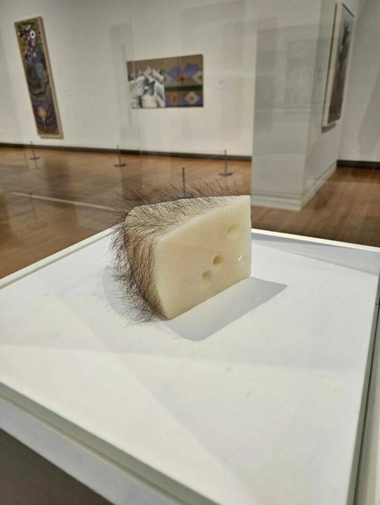 Daily Pictures. Part 1 (61 pics)